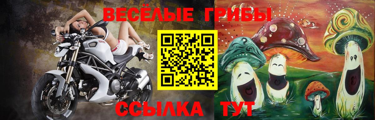 Чита  Псилоцибиновые грибы Magic Shrooms  Вход с VPN 